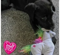 Ancol Hondenspeelgoed Eenhoorn- Puppy Speelgoed