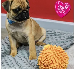 Ancol Hondenspeelgoed Leeuw- Puppy Speelgoed