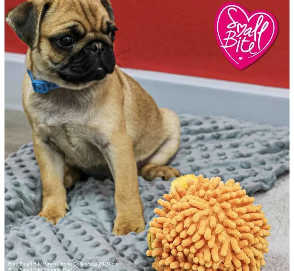 Ancol Hondenspeelgoed Leeuw- Puppy Speelgoed