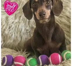 Ancol Hondenspeelgoed Mini Tennisballen Set- Puppy Speelgoed