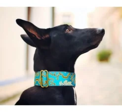 Barcelona Dogs Martingale Hondenhalsband Green- Hondenhalsband