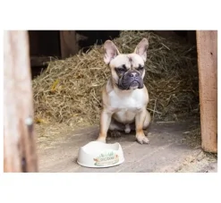 Beco Pets Drinkbak Of Voerbak Beco Bowl Wit- Voerbak En Drinkbak