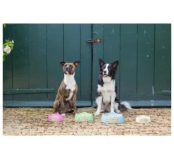 Beco Pets Drinkbak Of Voerbak Beco Bowl Blauw- Voerbak En Drinkbak