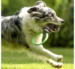 Beco Pets Hondenspeelgoed Hoop On A Rope Groen- Puppy Speelgoed
