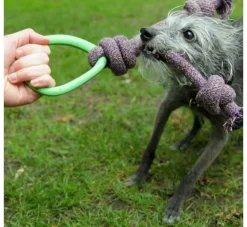 Beco Pets Hondenspeelgoed Hoop On A Rope Groen- Puppy Speelgoed