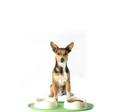 Beco Pets Onderlegger Place Mat Groen- Voerbakken
