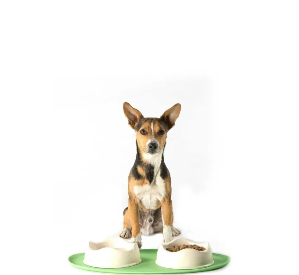 Beco Pets Onderlegger Place Mat Groen- Voerbakken