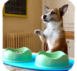 Beco Pets Onderlegger Place Mat Blauw- Voerbakken