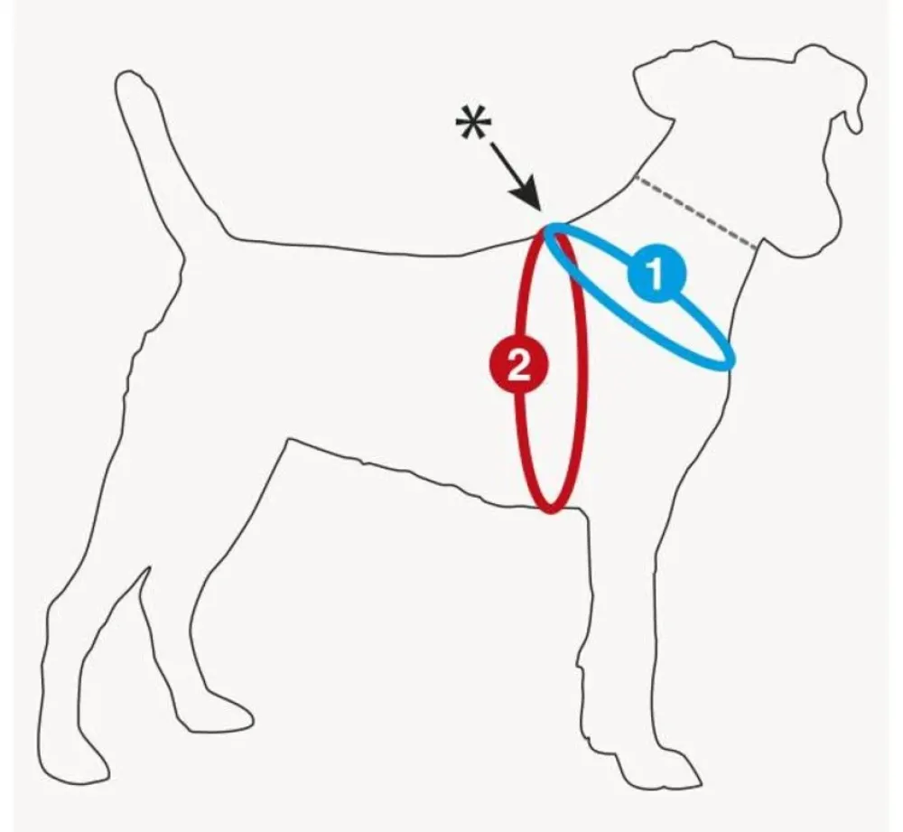 Curli Hondentuig Air-Mesh Harness Grijs- Puppy Tuig & Puppy Harnas