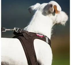 Curli Hondentuig Air-Mesh Harness Brown- Puppy Tuig & Puppy Harnas