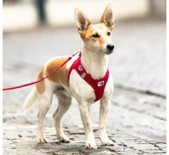Curli Hondentuig Air-Mesh Harness Red- Puppy Tuig & Puppy Harnas