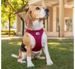 Curli Hondentuig Clasp Vest Harness Rood- Puppy Tuig & Puppy Harnas