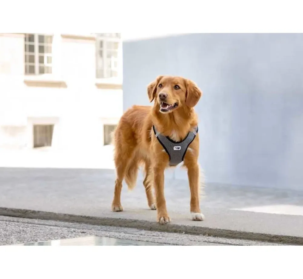 Curli Hondentuig Merino Zwart- Puppy Tuig & Puppy Harnas