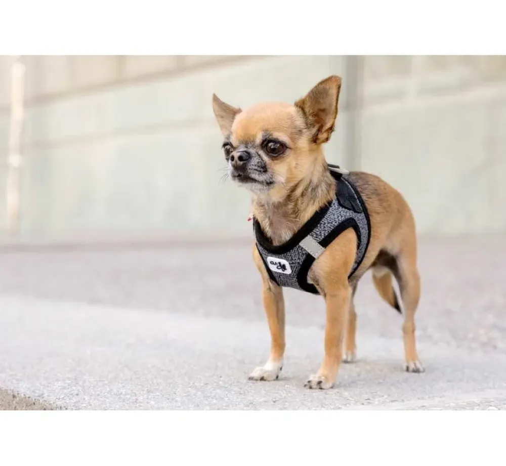Curli Hondentuig Merino Zwart- Puppy Tuig & Puppy Harnas
