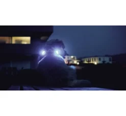 Curli Luumi Led Lampjes Zwart- Hondenhalsband