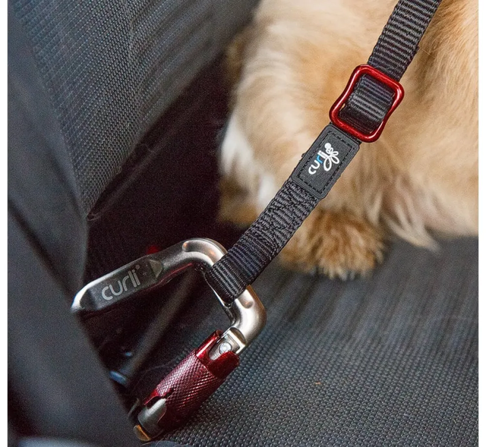 Curli Veiligheidsriem- Autogordel Hond