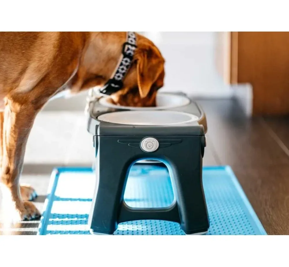 Dexas Adjustable Height Pet Feeder Light Grey- Voerbak En Drinkbak