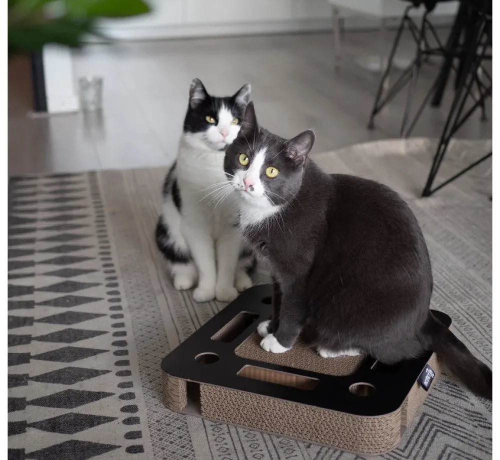District70 District 70 Kattenspeelgoed Spy Zwart- Kattenspeelgoed