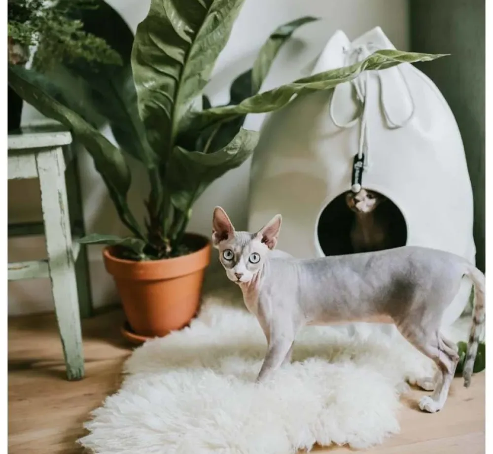 District70 Kattenmand Casa Merengue- Kattenmand