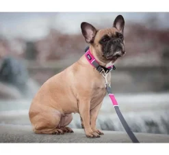 DOG Copenhagen Hondenhalsband Urban Explorer Wild Rose (V2)- Hondenhalsband