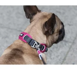 DOG Copenhagen Hondenhalsband Urban Explorer Wild Rose (V2)- Hondenhalsband