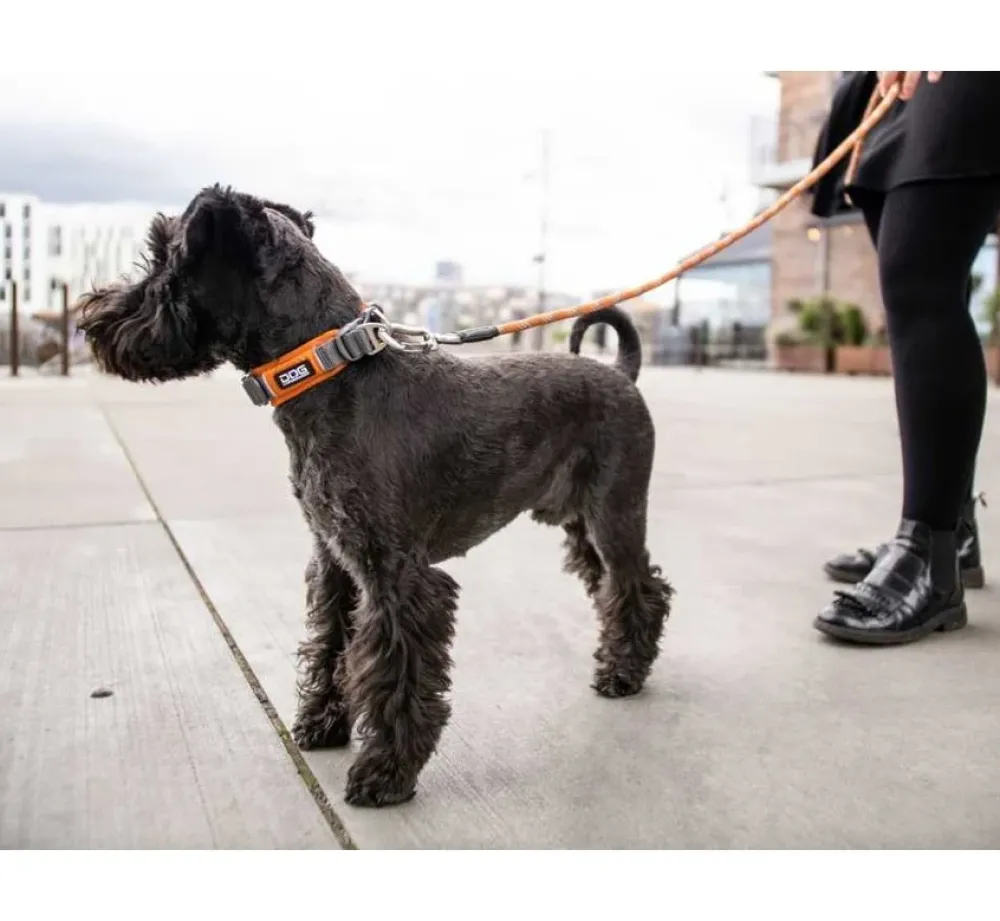 DOG Copenhagen Hondenhalsband Urban Explorer Orange Sun- Hondenhalsband