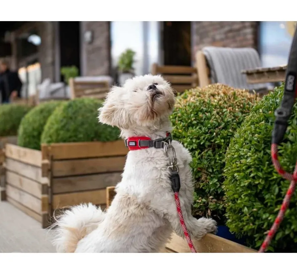 DOG Copenhagen Hondenhalsband Urban Explorer Classic Red- Hondenhalsband