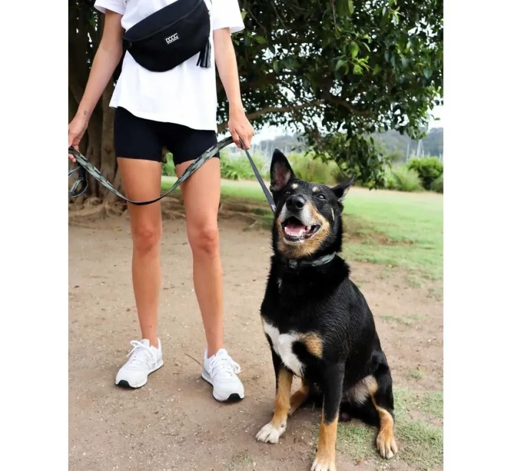 DOOG Heuptas Neosport Navy- Beloningszakje