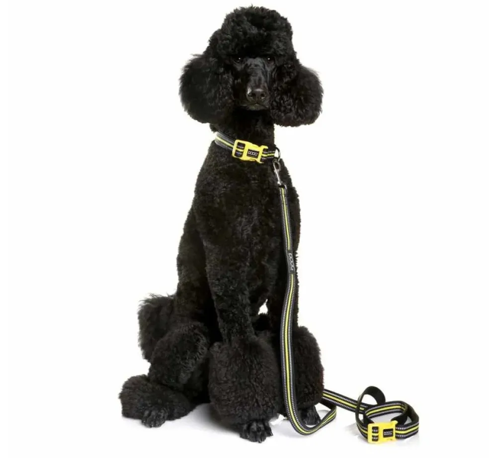 DOOG Hondenriem Neopreen Clip It Bolt- Puppy Riem