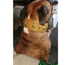Doxtasy Hondenhalsband Glorious Tan- Hondenhalsband