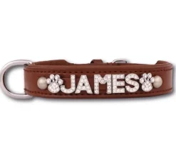Doxtasy Hondenhalsband Met Naam Medium Brown- Hondenhalsband