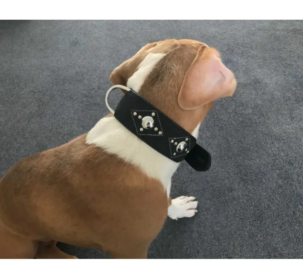 Doxtasy Hondenhalsband Ruff Chique Black- Hondenhalsband
