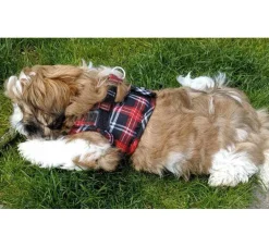 Doxtasy Hondentuig Comfy Harnass Scottish Black- Puppy Tuig & Puppy Harnas
