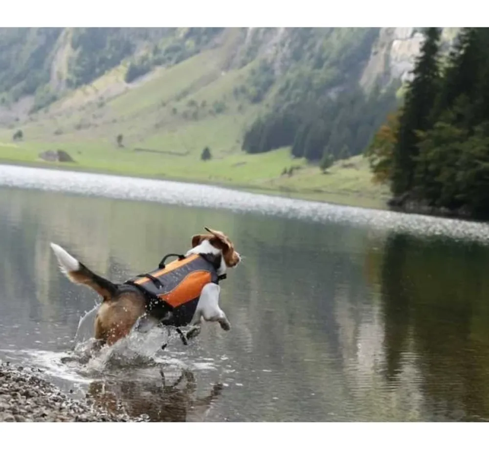 EQDOG Hondenzwemvest Classic- Voor De Boot