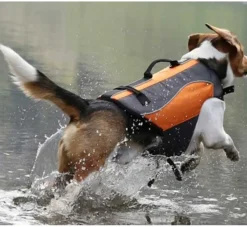 EQDOG Hondenzwemvest Classic- Voor De Boot