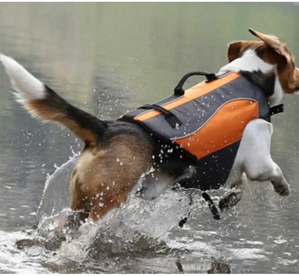 EQDOG Hondenzwemvest Classic- Voor De Boot