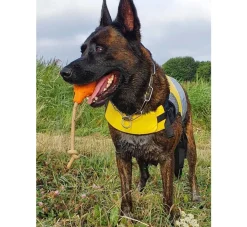 EQDOG Hondenzwemvest Pro Life- Voor De Boot