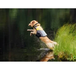 EQDOG Hondenzwemvest Pro Life- Voor De Boot