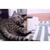 FroliCat Kattenspeelgoed Cheese- Kattenspeelgoed