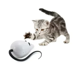 FroliCat Kattenspeelgoed Rolocat- Kattenspeelgoed