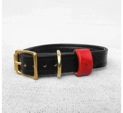 Houndworthy Hondenhalsband Bridle Leather Jet Black- Hondenhalsband