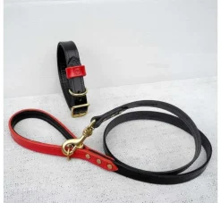 Houndworthy Hondenhalsband Bridle Leather Jet Black- Hondenhalsband
