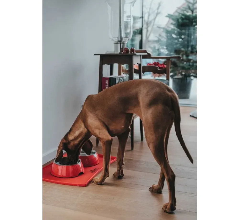 Hunter Drinkbak Of Voerbak Melamine Rood- Voerbakken