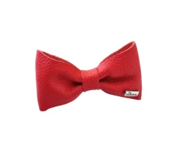 Hunter Honden Vlinderdas Paris- Hondenhalsband