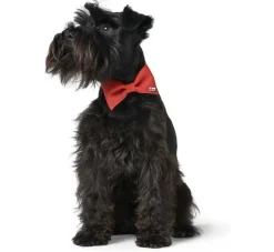 Hunter Honden Vlinderdas Paris- Hondenhalsband