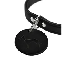 Hunter Hondenhalsband Aalborg Zwart- Hondenhalsband