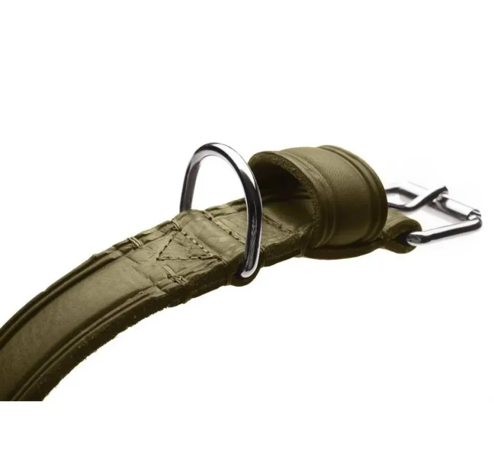 Hunter Hondenhalsband Aalborg Rustica Olive- Hondenhalsband
