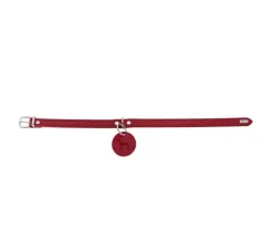 Hunter Hondenhalsband Aalborg Rood- Hondenhalsband
