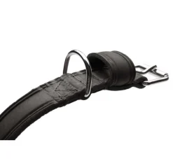 Hunter Hondenhalsband Aalborg Rustica Zwart- Hondenhalsband