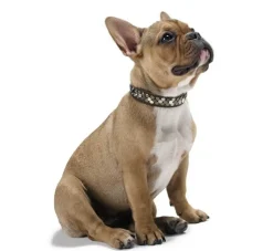 Hunter Hondenhalsband Arizona Bruin- Hondenhalsband